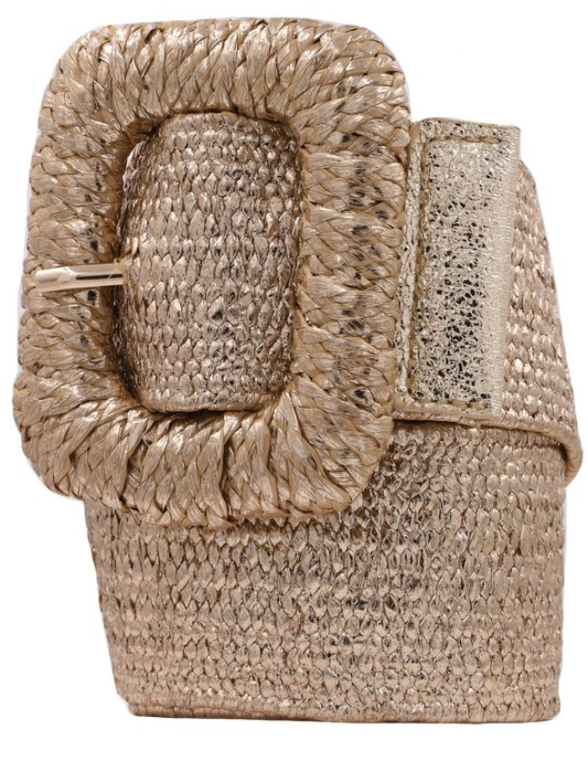 Cecilia Gold Elastic Belt