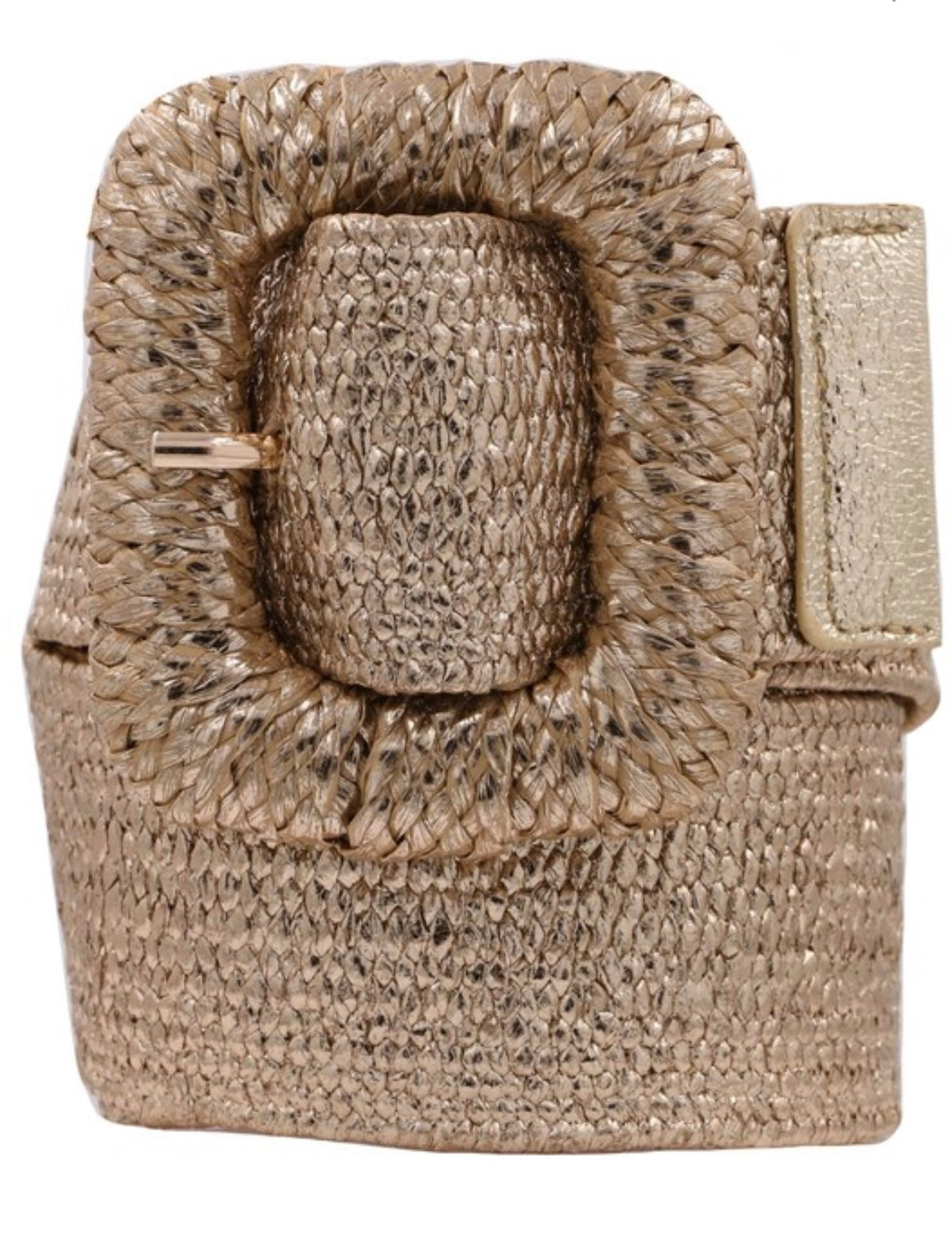 Cecilia Gold Elastic Belt