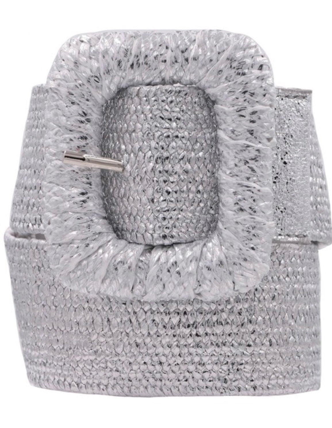 Cecilia Silver Elastic Belt